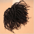8A Grade Unprocessed Virgin Brazilian Human Hair Afro Kinky Curly Weaves 5