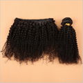 8A Grade Unprocessed Virgin Brazilian Human Hair Afro Kinky Curly Weaves 2