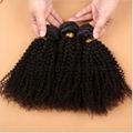 8A Grade Unprocessed Virgin Brazilian Human Hair Afro Kinky Curly Weaves 1