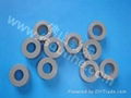 PEEK gaskets 4