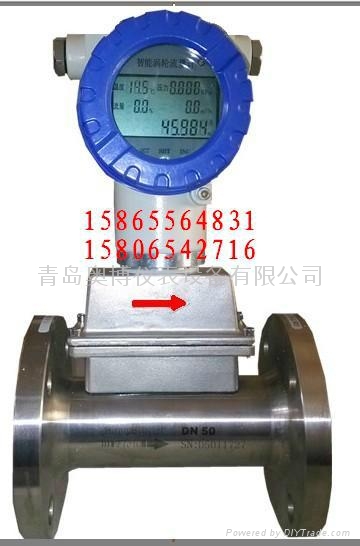 天然气涡轮流量计 3