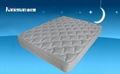 Euro pillow top mattress sizes 1