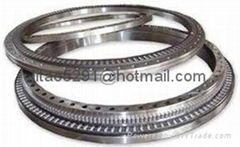 Excavator slewing bearings