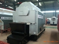 DZL 4 ton Coal fired Boiler 4