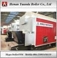 DZL 4 ton Coal fired Boiler 5