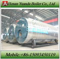 4 ton gas steam boiler 2