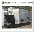 Industrial Biomass fired steam boiler 3