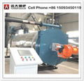 Gas Fired Thermal oil boiler 1