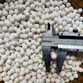 Activated alumina for desiccant  3