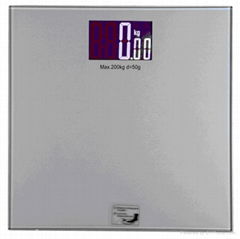 Large Screen Digital  Personal  Scale DP-06B