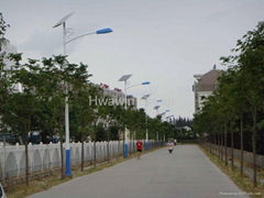 Solar Street Lighting