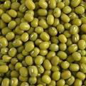 Green Mung Bean