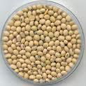 Soyabean