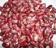 Red Speckled Kidney Bean