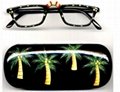 Hand Painted Reading Glasses