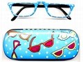 Hand Painted Reading Glasses