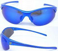 Prosche Sunglasses