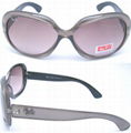 Rayban Sunglasses