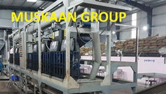 Automatic cashew shelling machine