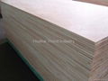 Falcata Core Block Board with Red Oak