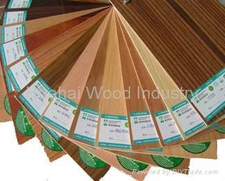 Fancy Plywood Veneered Panel for Furniture Door Interior Decor