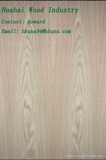 Fancy Plywood Veneered Panel for Furniture Door Interior Decor 4