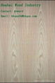 Fancy Plywood Veneered Panel for Furniture Door Interior Decor 4