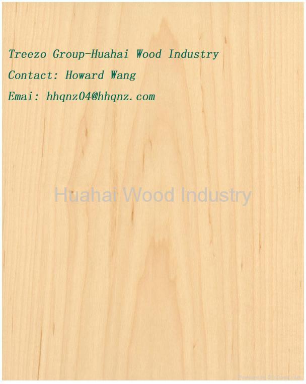 Fancy Plywood Veneered Panel for Furniture Door Interior Decor 5