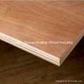 Red Meranti Plywood Okoume Triplay with Hardwood Core 3