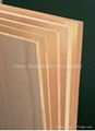 Red Meranti Plywood Okoume Triplay with Hardwood Core 4