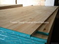 Finger Joint Board Solid Panel 3