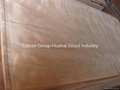 Natural Wood Veneers, Sliced Veneer (Red Oak, White Oak, Walnut, Cherry, Maple) 4