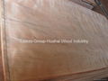 Natural Wood Veneers, Sliced Veneer (Red Oak, White Oak, Walnut, Cherry, Maple)