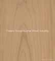 Fancy Plywood Veneer Plywood Triplay Red Oak Maple Teak