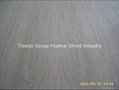 Fancy Plywood Veneer Plywood Triplay Red Oak Maple Teak