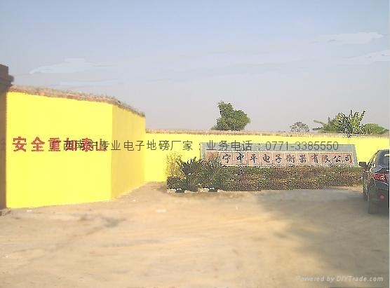 广西南宁电子皮带秤 2
