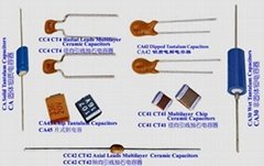 Multilayer Ceramic Capacitor