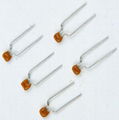 Multilayer Ceramic Capacitors 1