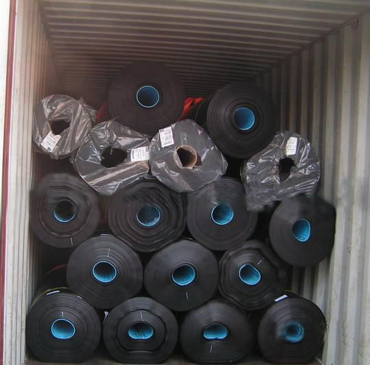 LDPE Geomembrane 2