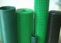 Welded Wire Mesh