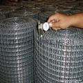 1/4 welded wire mesh