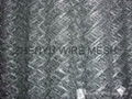 galvanised chain link fence