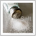 Iodized Salt 1