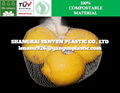 PLA Cornstarch Certificated Biodegradable Net Mesh Bag vegetable Compostable