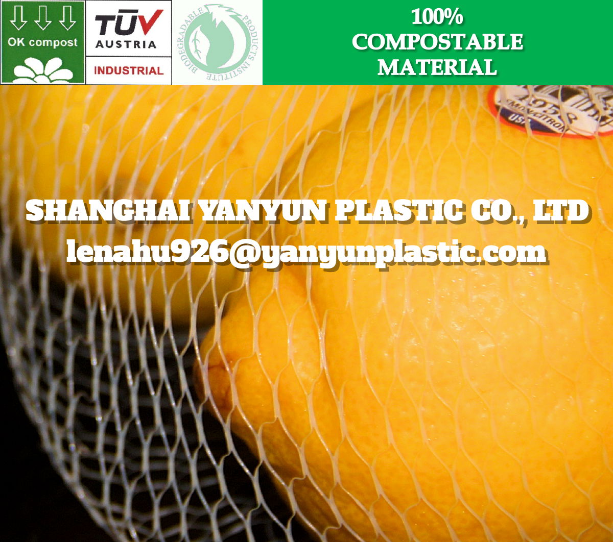 PLA Cornstarch Certificated Biodegradable Net Mesh Bag vegetable Compostable 2