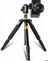 QZSD photographic equipment  factory supply photo tripod camera tripod Q-666 4