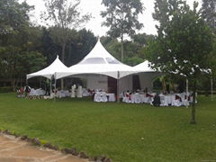 hexgonal wedding tent 