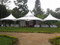 hexgonal wedding tent  2