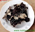 DRIED MUSHROOM