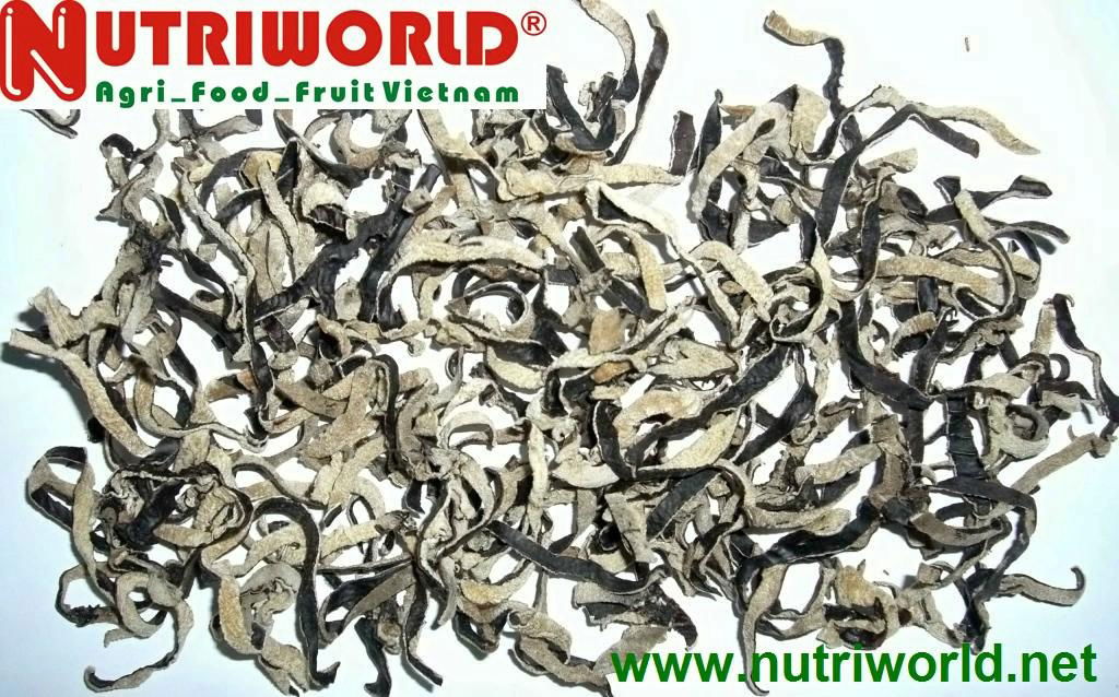 DRIED MUSHROOM 5